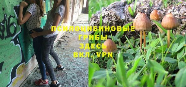 spice Покровск