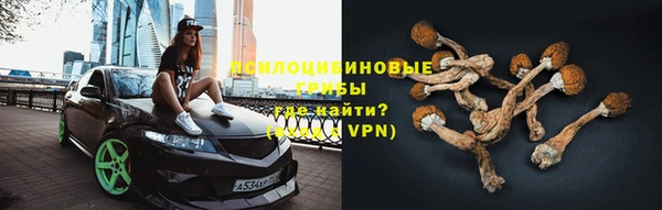МДПВ Покров