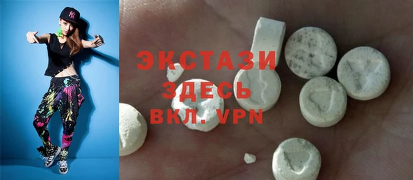 индика Краснослободск