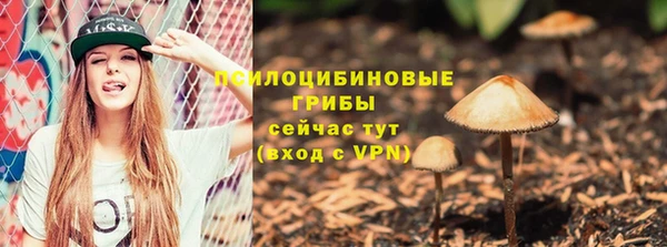 spice Покровск
