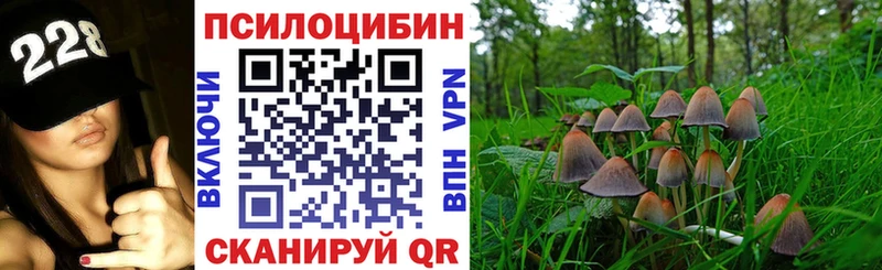 Псилоцибиновые грибы Cubensis  Байкальск 